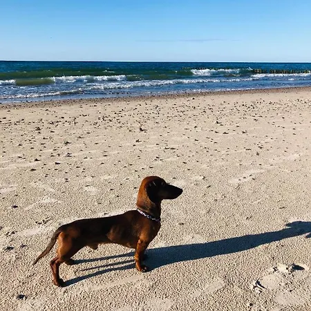 Morski Keja Ii Podczele *
