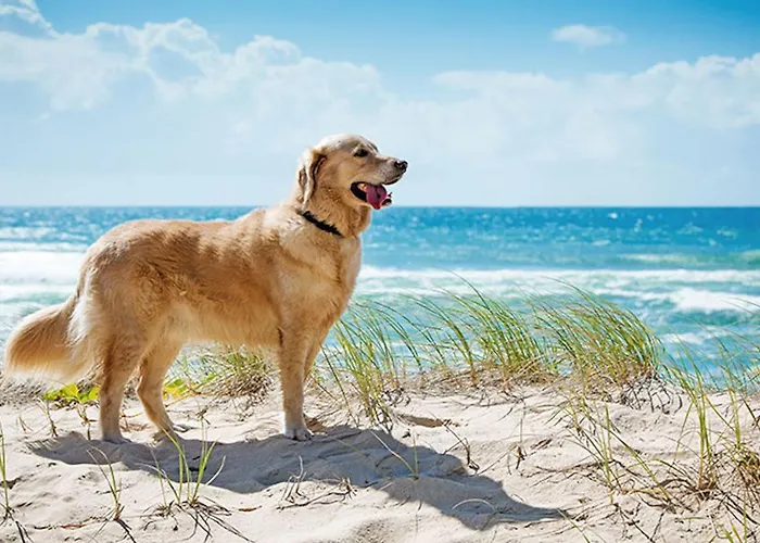 Apartament Morski Keja Ii Podczele *