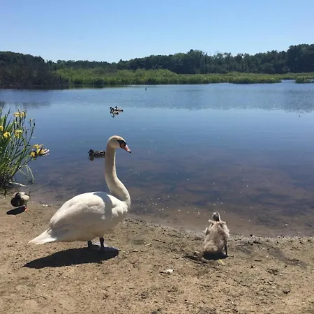 アパート Morski Keja Ii Podczele *